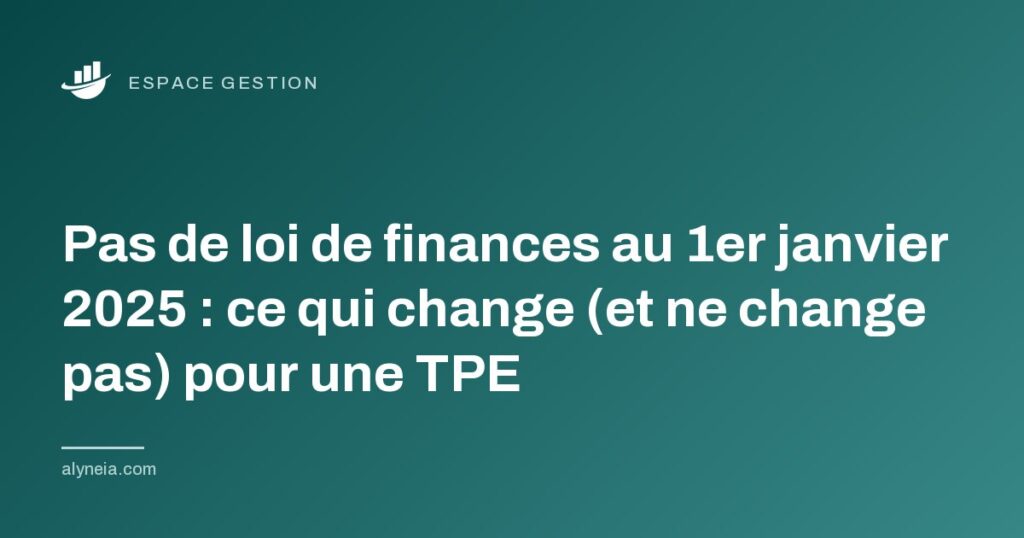 Pas de loi de finances au 1er janvier 2025 : ce qui change (et ne change pas) pour une TPE